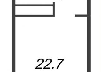 Продаю квартиру студию, 22.7 м2, Санкт-Петербург, проспект Большевиков, уч3, ЖК Про.Молодость