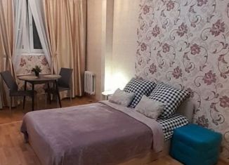 Квартира в аренду студия, 30 м2, Новосибирск, метро Площадь Маркса, улица Виктора Уса, 15