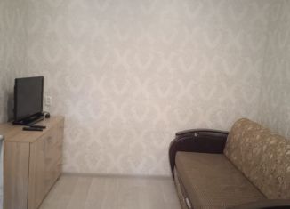 Сдается 1-комнатная квартира, 30 м2, Казань, улица Липатова, 3