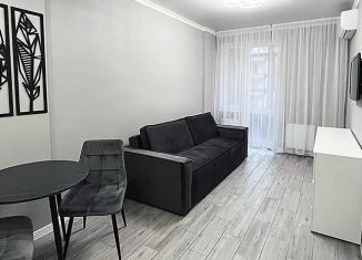 Аренда квартиры студии, 26 м2, Ростов-на-Дону, улица Ларина, 45с1