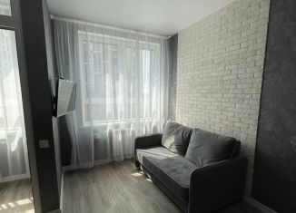 Квартира в аренду студия, 24.1 м2, Тула, Калужское шоссе, 20к2