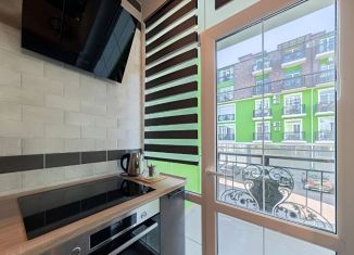 Продажа однокомнатной квартиры, 38 м2, посёлок городского типа Сириус, Таврическая улица, 7к4, ЖК Арт Лайт Сити