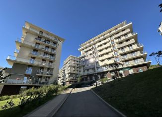 Продаю квартиру студию, 43.4 м2, село Варваровка, улица Калинина, 150к7