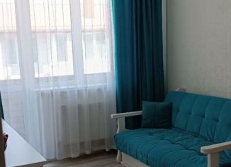 Сдам в аренду 1-ком. квартиру, 35 м2, Краснодар, улица Шевцова, 1к1