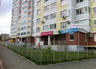 Двухкомнатная квартира в аренду, 51 м2, Ижевск, улица Ленина, 93, ЖК Рябинушки