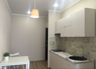 Продам квартиру студию, 27 м2, Ростов-на-Дону, улица Ерёменко, 105