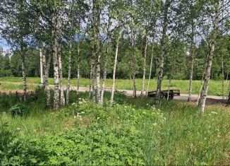 Земельный участок на продажу, 5.5 сот., деревня Бабаиха