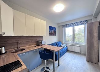 Сдается квартира студия, 19 м2, Москва, Электрозаводская улица, 14с1, ВАО