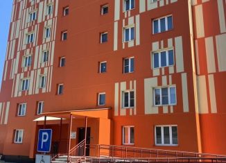 Двухкомнатная квартира в аренду, 55 м2, Елизово, Спортивная улица, 14/1