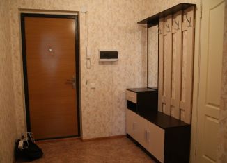 Сдача в аренду 1-комнатной квартиры, 40 м2, Воронеж, улица Шишкова, 146, Центральный район