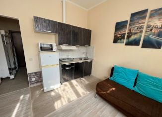 Аренда квартиры студии, 20 м2, Приморский край, улица Калинина, 115А