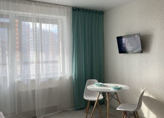 Сдается 1-ком. квартира, 40 м2, Санкт-Петербург, Среднерогатская улица, 16к2, ЖК Фо Ю