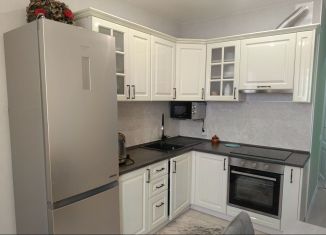 1-комнатная квартира в аренду, 42 м2, Ростов-на-Дону, Горсоветская улица, 49с1