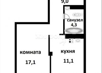 Продаю 1-комнатную квартиру, 41.5 м2, Новосибирская область, Междуреченская улица, 3