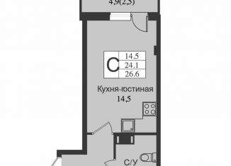 Продажа квартиры студии, 24.1 м2, Всеволожск