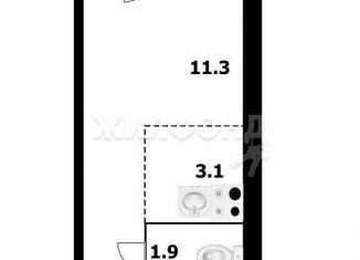 Продается квартира студия, 22.3 м2, Новосибирская область, улица Сибиряков-Гвардейцев, 53/10