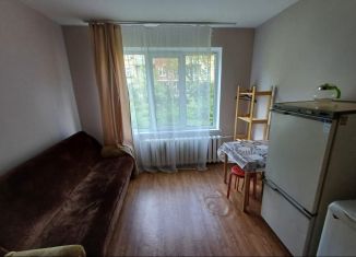 Сдается в аренду квартира студия, 17 м2, Татарстан, улица Короленко, 50А