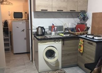 Сдам квартиру студию, 20 м2, Анапа, улица Ленина, 180Ак11