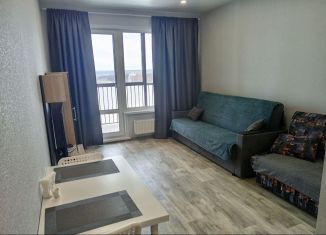 Сдам в аренду квартиру студию, 25 м2, Новосибирск, улица Красный Факел, 25/1, метро Золотая Нива