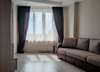 Продам однокомнатную квартиру, 44 м2, Санкт-Петербург, проспект Луначарского, 11к1, метро Озерки