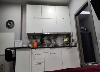 Квартира в аренду студия, 17 м2, Санкт-Петербург, улица Рылеева, 1/9