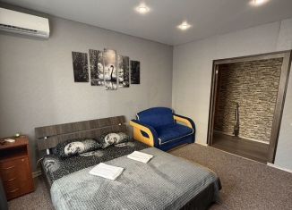 Сдам 1-комнатную квартиру, 45 м2, Тула, улица Конструктора Грязева, 4, ЖК Зеленстрой-2