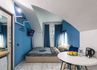 Сдается в аренду квартира студия, 12 м2, Санкт-Петербург, набережная реки Фонтанки, 26В