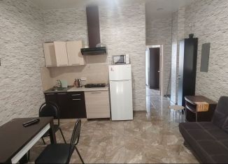 Сдаю в аренду 1-комнатную квартиру, 30 м2, Сочи, Санаторная улица, 40/7