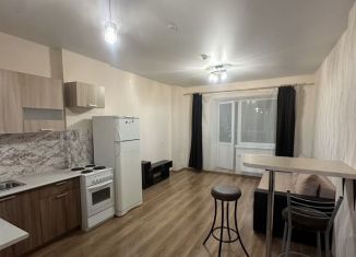 Сдается в аренду квартира студия, 26.6 м2, Пермь, улица Куфонина, 10Б, Дзержинский район