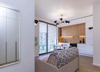 1-ком. квартира в аренду, 45 м2, Санкт-Петербург, улица Чапаева, 17к2