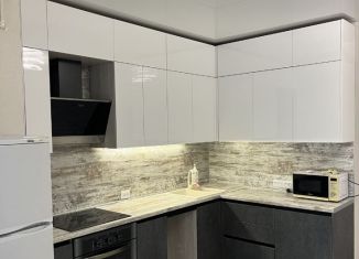 Сдача в аренду 2-ком. квартиры, 58 м2, Республика Башкортостан, Караидельская улица, 54/1