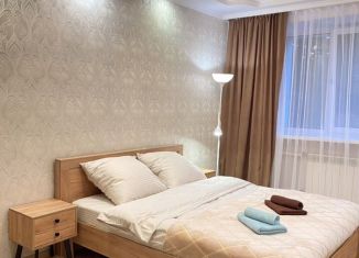 Сдача в аренду двухкомнатной квартиры, 48 м2, Обь, Октябрьская улица, 2