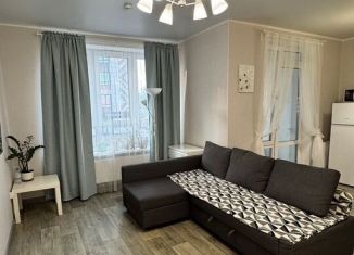 Сдается в аренду квартира студия, 33 м2, Республика Башкортостан, улица Энтузиастов, 11