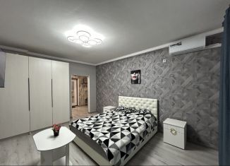 Аренда 1-комнатной квартиры, 50 м2, Республика Башкортостан, улица Энтузиастов, 12