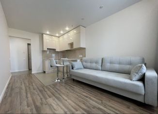 Двухкомнатная квартира в аренду, 40 м2, Республика Башкортостан, улица Софьи Перовской, 22