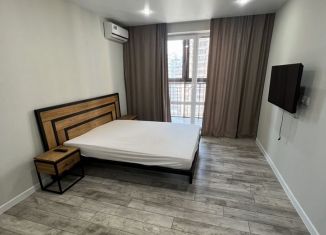 Аренда 1-ком. квартиры, 39.5 м2, Краснодар, Гаражная улица, 87, Западный округ