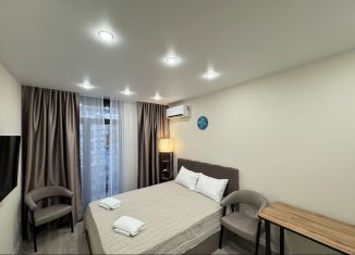 Сдаю квартиру студию, 21 м2, Сочи, Ясногорская улица, 16/2к6, микрорайон Бытха