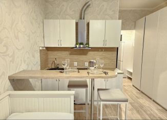 Сдам в аренду квартиру студию, 24 м2, Петергоф, Петергофская улица, 8