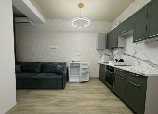 Аренда квартиры студии, 23 м2, Сочи, Волжская улица, 30, ЖК Тихий Дон-2