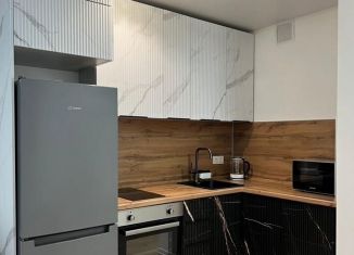 1-ком. квартира в аренду, 33 м2, деревня Новое Девяткино, Главная улица, 8