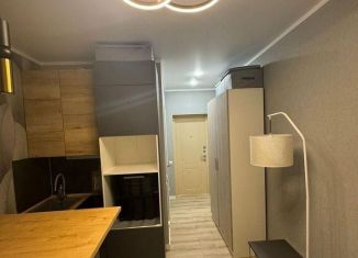 Продажа 1-комнатной квартиры, 24 м2, село Орёл-Изумруд, улица Лазурная Долина, 191