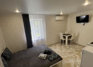 Сдача в аренду квартиры студии, 21 м2, Сочи, Фабричная улица, 21, микрорайон Голубые Дали