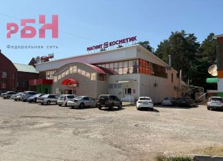 Продажа торговой площади, 233.7 м2, село Николо-Берёзовка, Дорожная улица, 27