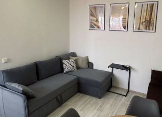 Сдача в аренду квартиры студии, 20.6 м2, Сириус, Таврическая улица, 1/6