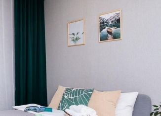 Сдается в аренду квартира студия, 28 м2, Новосибирск, улица Немировича-Данченко, 167/2, ЖК Расцветай на Маркса