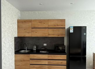 Сдается квартира студия, 35 м2, Тюмень, улица Эльвиры Федоровой, 1к1