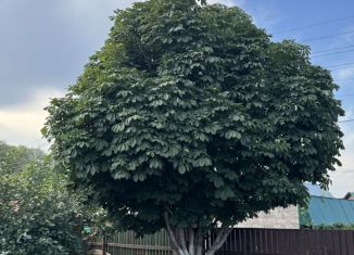 Продаю дом, 56 м2, Октябрьский