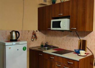 Сдам квартиру студию, 29 м2, Екатеринбург, ЖК Тихий Берег-2, Рощинская улица, 27