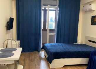 Аренда квартиры студии, 30 м2, Сириус, улица Станиславского, 19Б