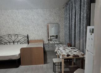 Сдам в аренду 1-комнатную квартиру, 27 м2, Пятигорск, улица Ермолова, 175